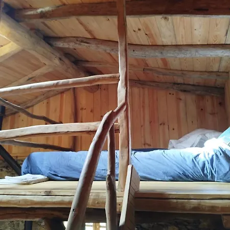 Alpehytte Casa Da Avo Celta Lousã